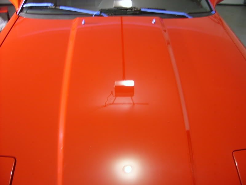 S3600028.jpg