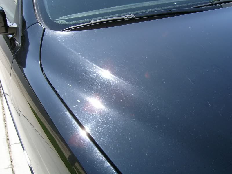 S3600030-1.jpg