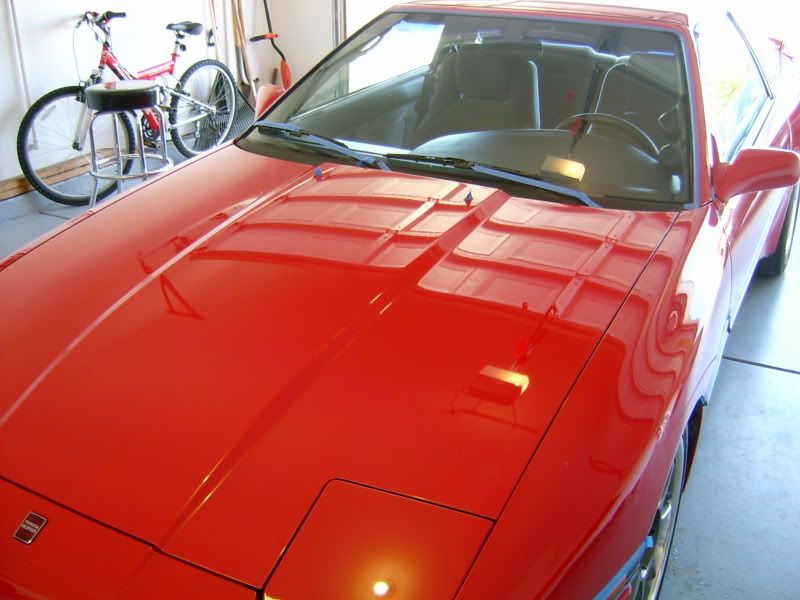 S3600032-2.jpg
