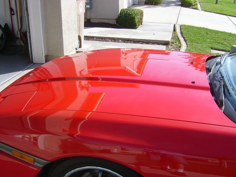 S3600044-2.jpg