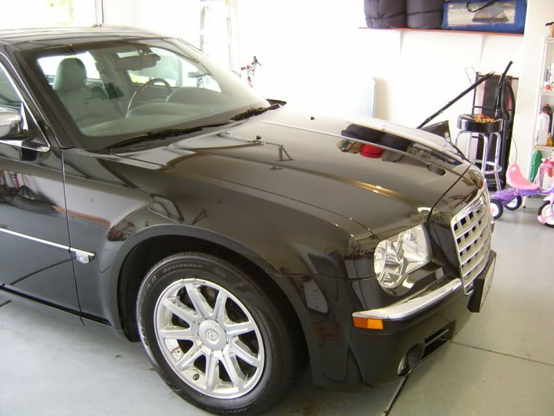 S3600049-1.jpg