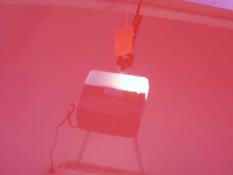S3600053.jpg