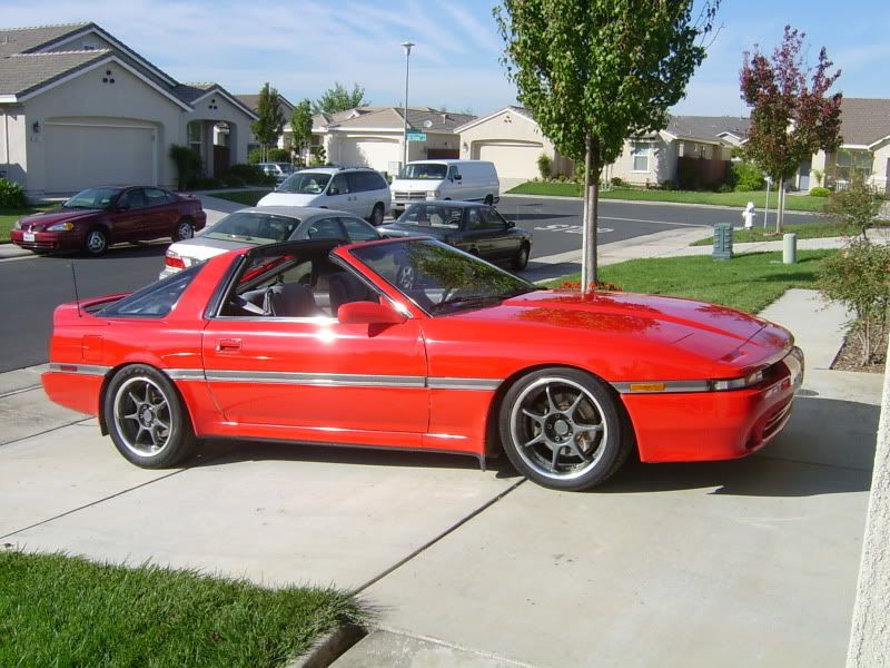 S3600060.jpg