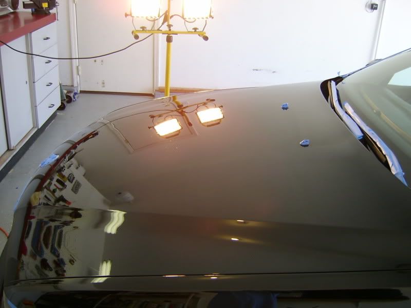 S3600065-1.jpg