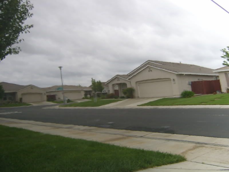 S3600069-1.jpg