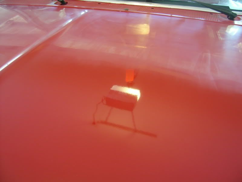S3600073-3.jpg