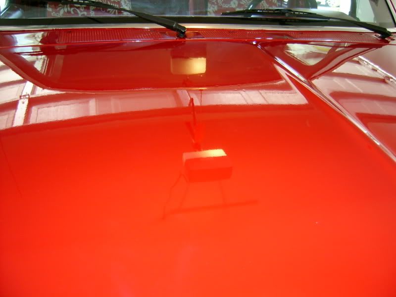 S3600075-3.jpg