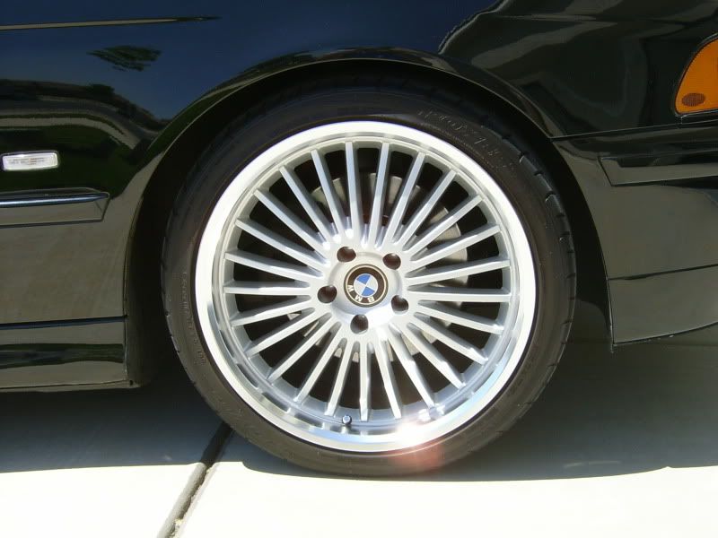 S3600078.jpg