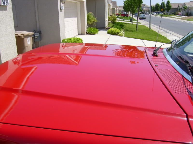 S3600086-1.jpg