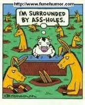 asshole.jpg