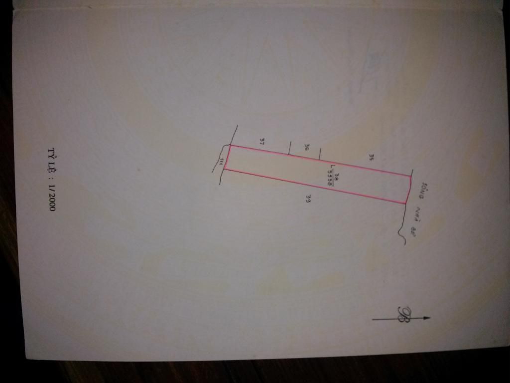 20150306_125351_zpszdau1qac.jpg 20150306_125351_zpszdau1qac.jpg