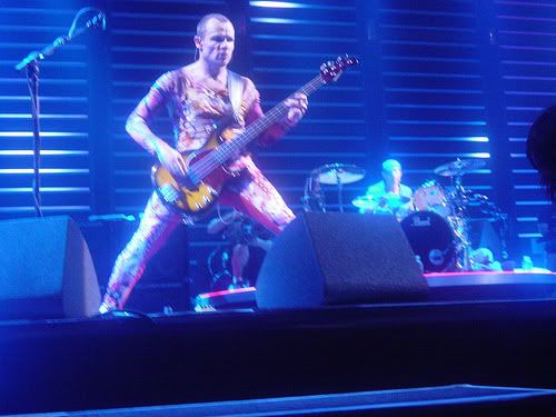 Flea