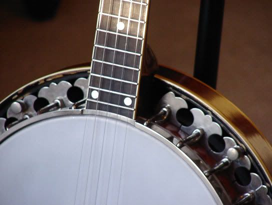 Banjo Flange