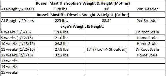 Mastiff Weight Chart