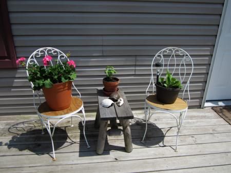  photo deckplants1.jpg