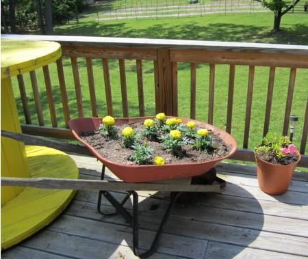  photo deckplants3.jpg