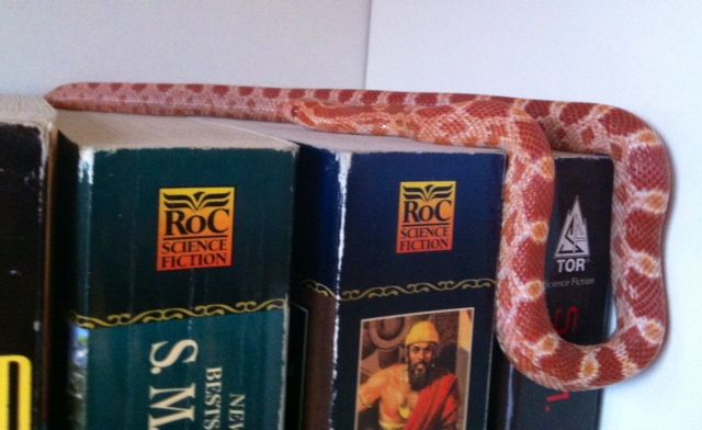 BookshelfAvatre12_zps8236f0dc.jpg