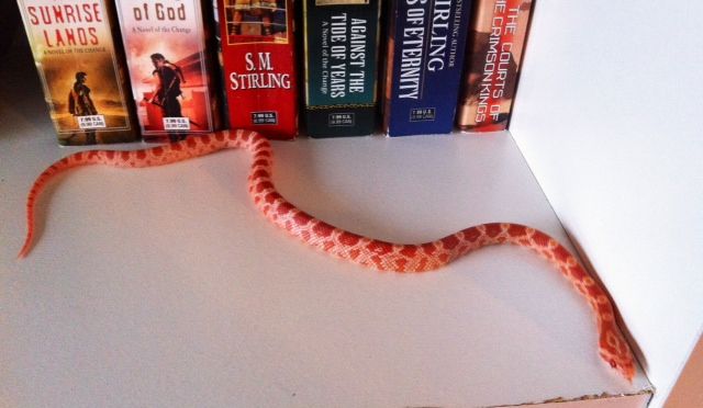 BookshelfAvatre14_zps6a819851.jpg