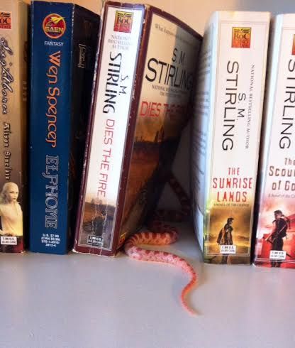 BookshelfAvatre6_zpscb1e002b.jpg