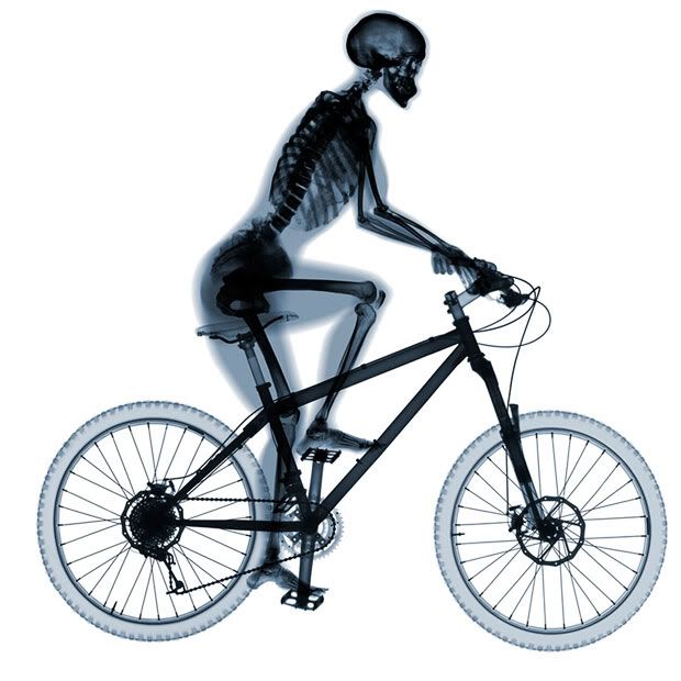 xraybiker.jpg