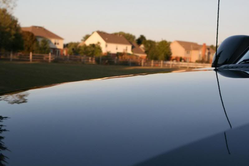 Suburban4.jpg