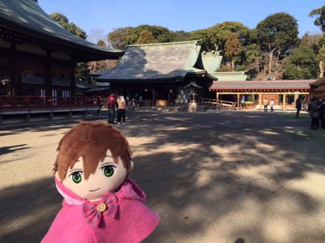 photo 20160121-10_zpst9k1jhps.jpg