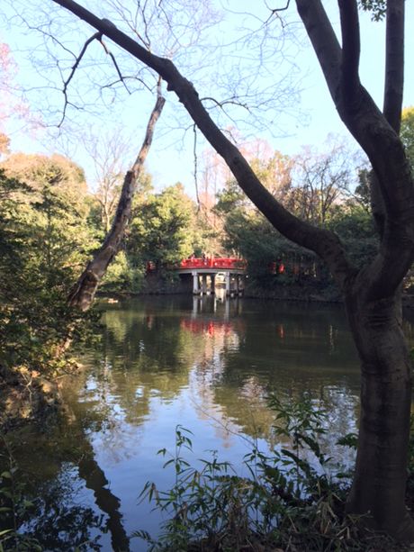 photo 20160121-12_zps0vcduaet.jpg