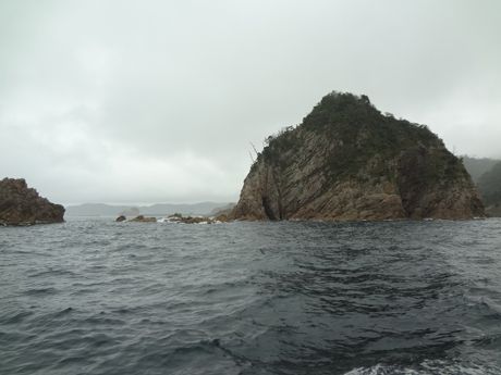 photo 20160618-45_zpskmqdgqvr.jpg