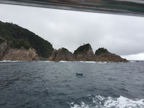 photo 20160618-46_zpspsfvnfpi.jpg
