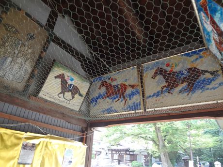 photo 20160916-23_zpsoiomriyt.jpg