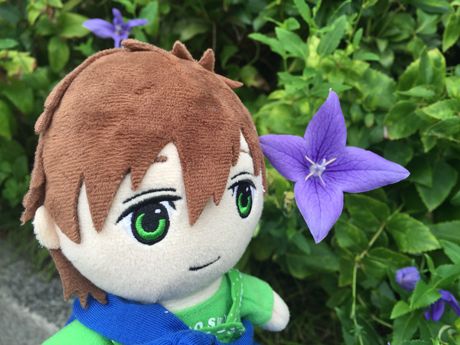 photo 20160917-13_zpsxw1vgppp.jpg