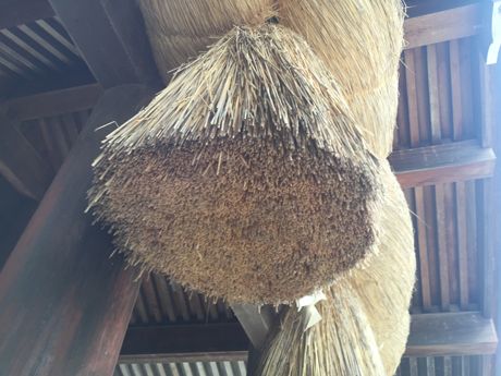 photo 20160919-30_zpssobhd3mi.jpg