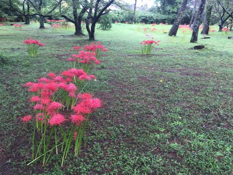 photo 20160919-41_zpsd0gjfanx.jpg