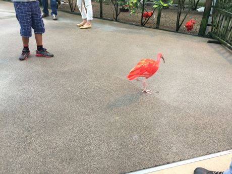 photo 20160919-61_zpszttv8vnh.jpg