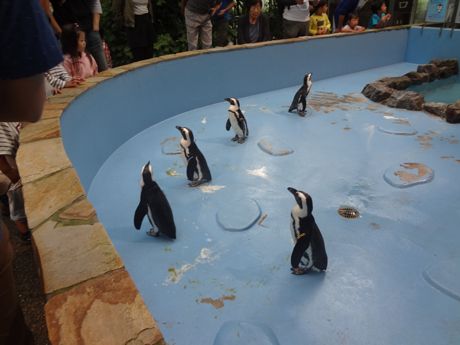 photo 20160919-66_zpsfi2s4oqt.jpg
