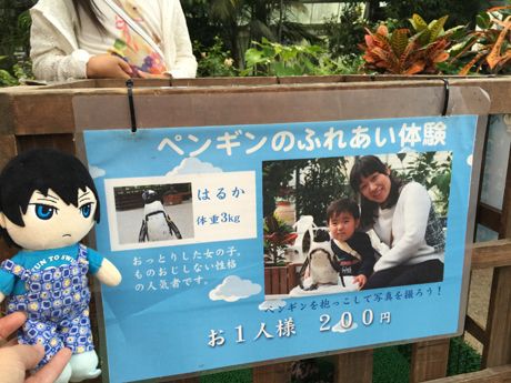 photo 20160919-79_zps7bmpyl5r.jpg