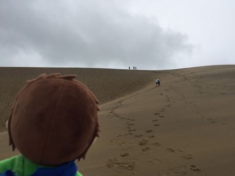 photo 20160920-94_zps73gv011v.jpg