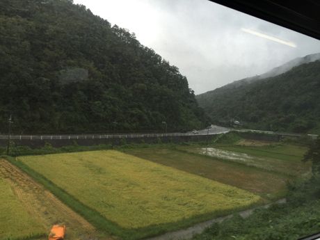photo 20160921-04_zpsnoi4p3dg.jpg