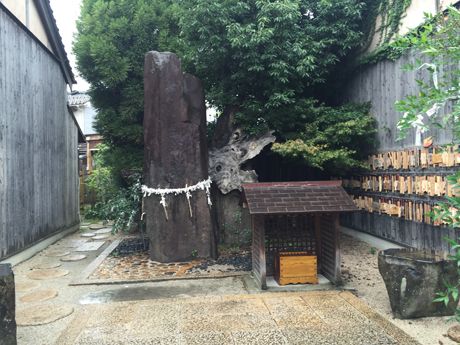 photo 20160922-12_zpss22o4ff2.jpg