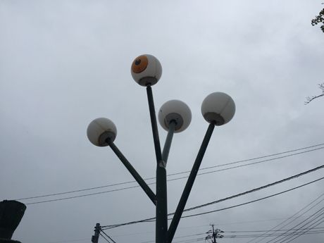photo 20160922-20_zpsanqg7wuy.jpg