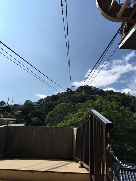 photo 20160923-41_zpsr8tbxujo.jpg