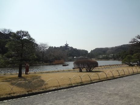 photo JP0308-17_zpsa5216c54.jpg