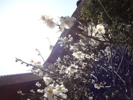 photo JP0308-21_zps0df80df2.jpg