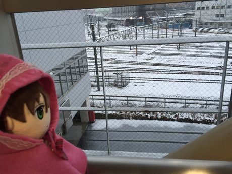 photo JP20160118-03_zpsxskwtzsh.jpg