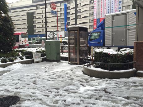 photo JP20160118-10_zpshgczn6gg.jpg
