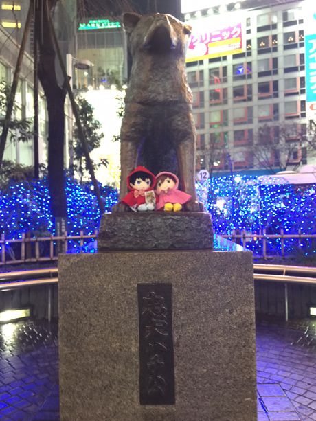 photo JP20160118-25_zpspdhmpl2b.jpg
