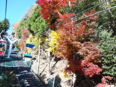 photo jp-131130-10_zps0dfdcb26.jpg