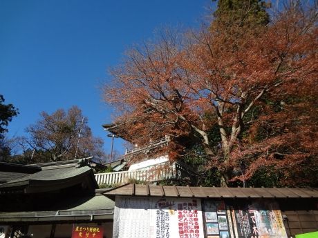 photo jp-131130-26_zpse9f47b3c.jpg