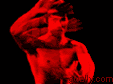 thbrucelee.gif