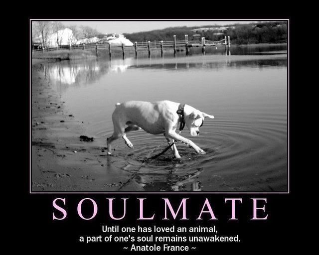 Soul Mate Quotes